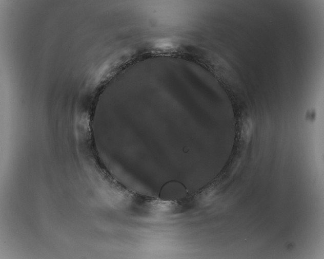 X0000111230711200907161317