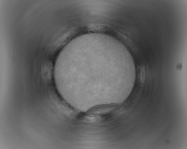 X0000111230712200907161317