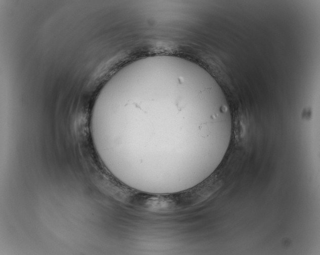 X0000111230714200907161317