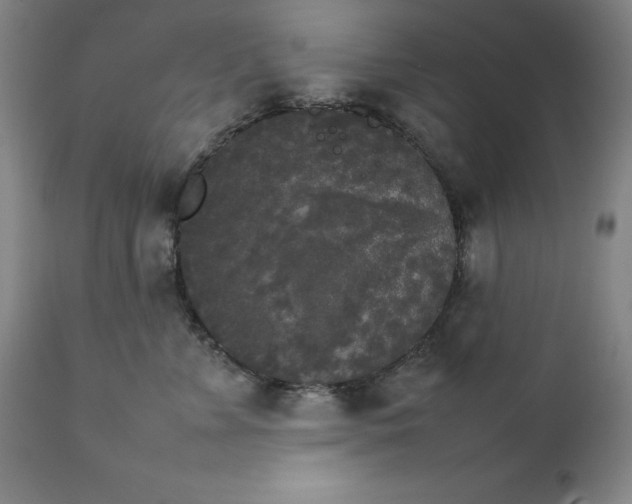 X0000111230715200907161317