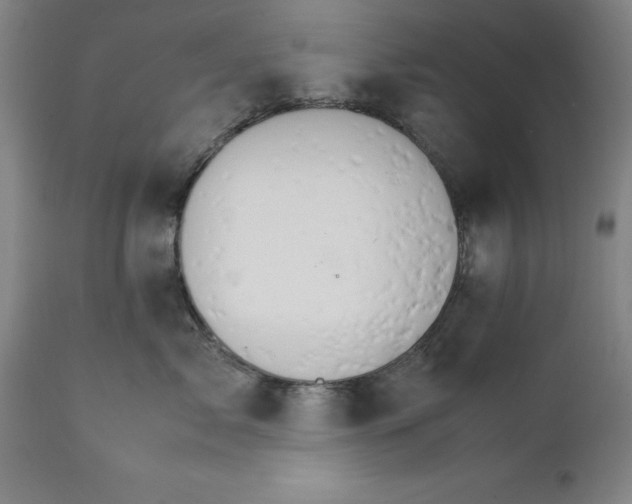 X0000111230717200907161317