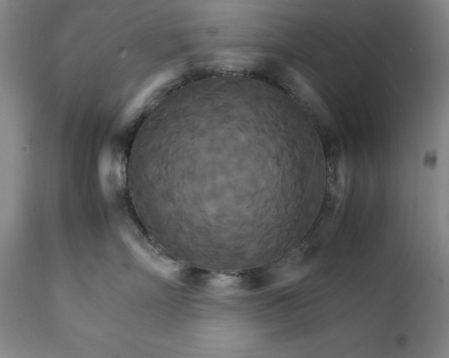 X0000111230718200907161317