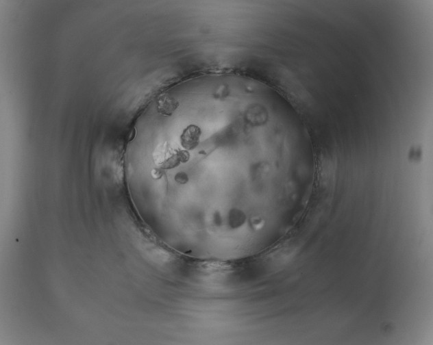 X0000111230719200907161317
