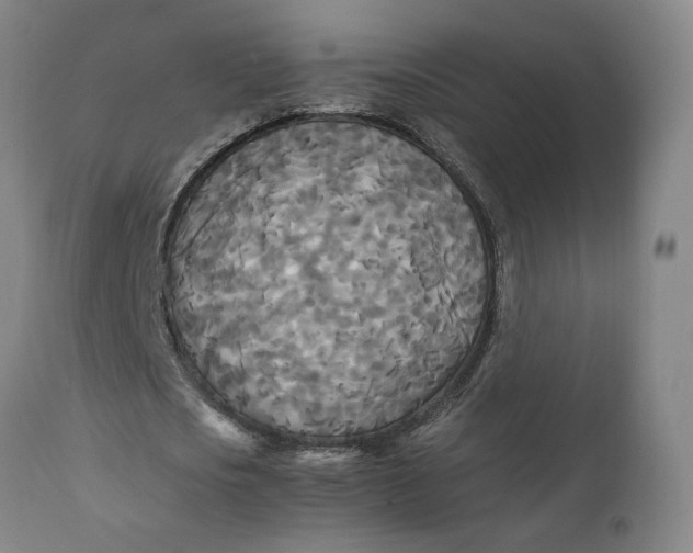 X0000111230721200907161316