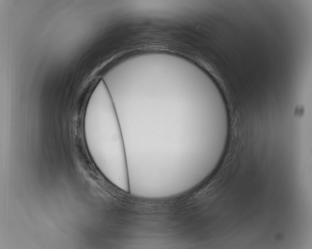 X0000111230722200907161316