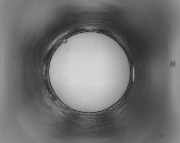 X0000111230723200907161316