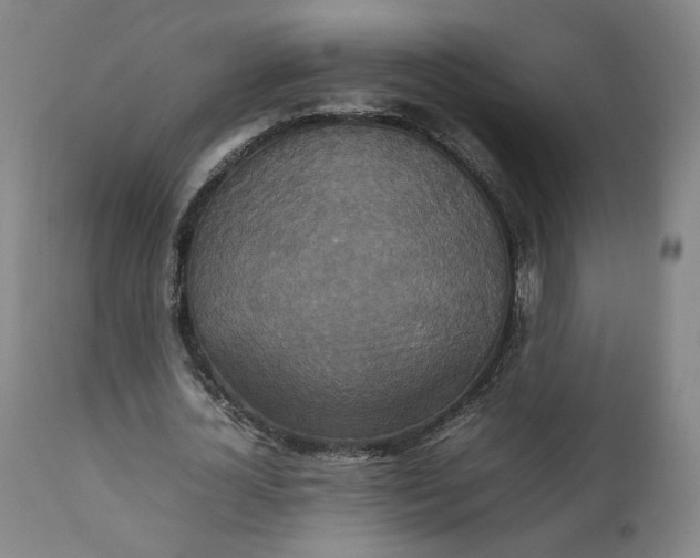 X0000111230724200907161316