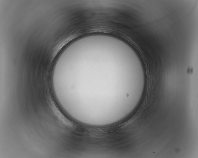 X0000111230725200907161316
