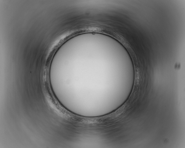 X0000111230726200907161316