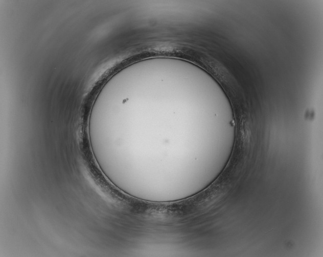 X0000111230728200907161316