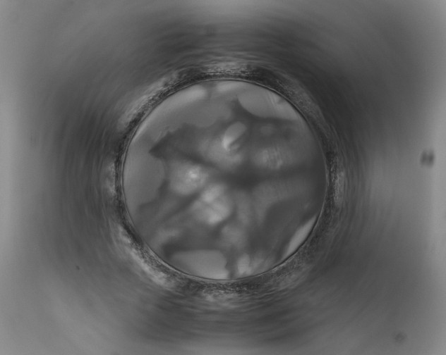 X0000111230729200907161316