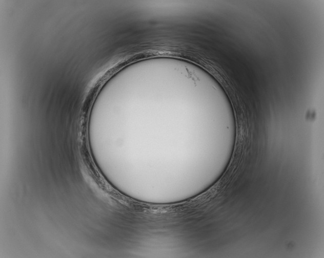 X0000111230730200907161316