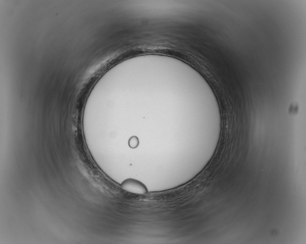 X0000111230732200907161316