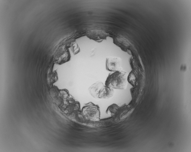 X0000111230733200907161316