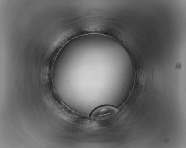 X0000111230735200907161316