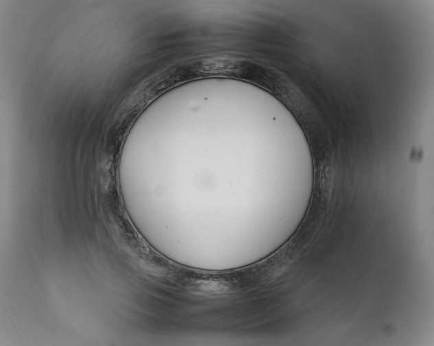 X0000111230741200907161316