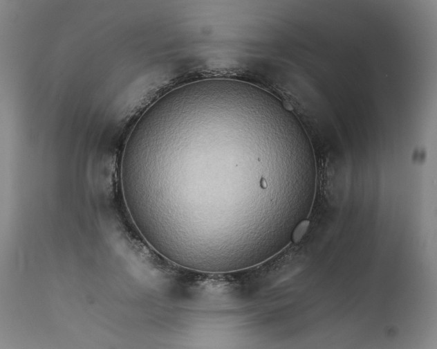 X0000111230742200907161316