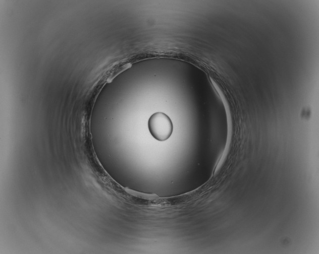 X0000111230744200907161316