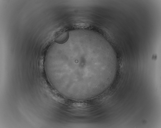 X0000111230745200907161316