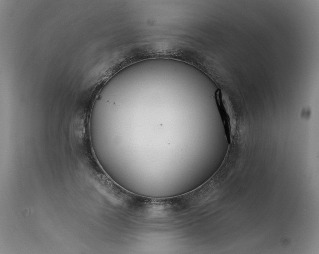 X0000111230746200907161316