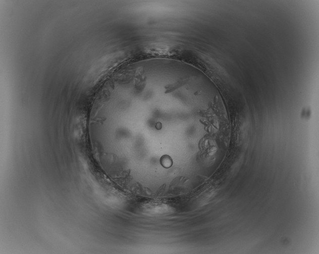 X0000111230747200907161316