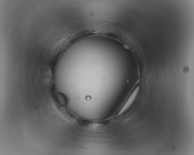 X0000111230748200907161316