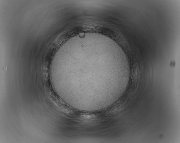 X0000111230749200907161316