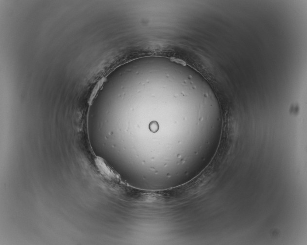 X0000111230750200907161316