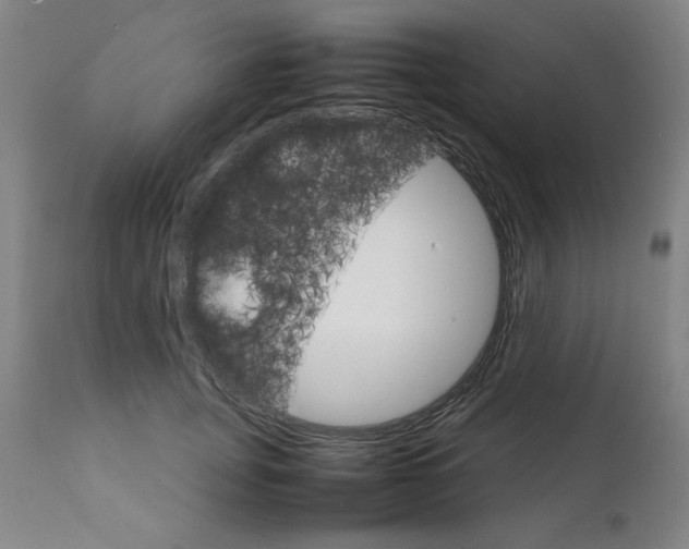 X0000111230751200907161316