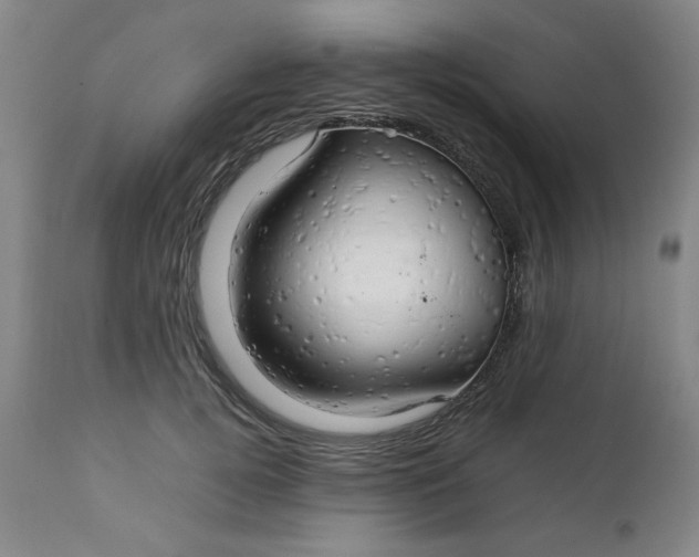 X0000111230752200907161316