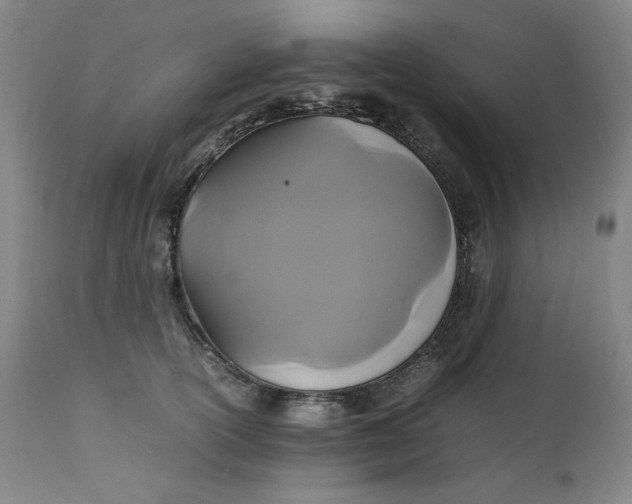 X0000111230754200907161316