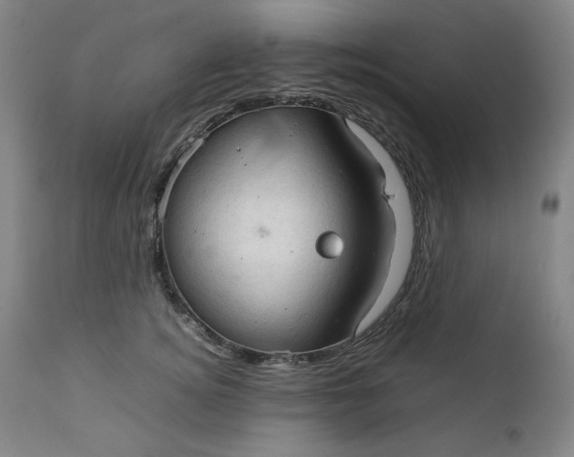 X0000111230756200907161316