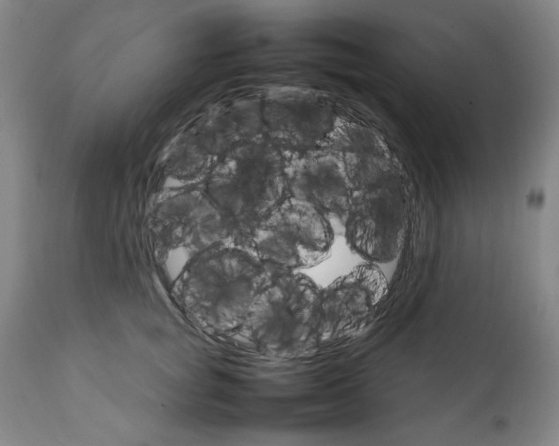 X0000111230757200907161316