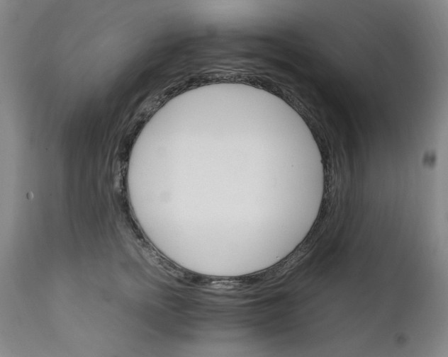 X0000111230758200907161316