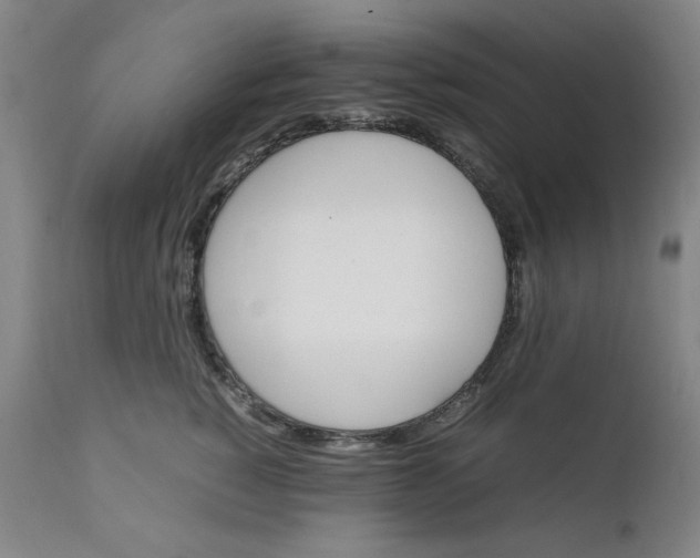 X0000111230760200907161316