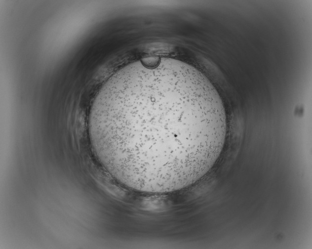 X0000111230761200907161317