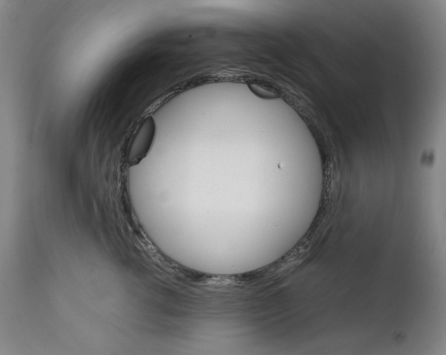 X0000111230762200907161317