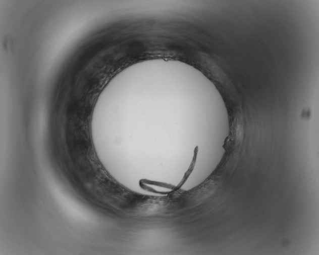 X0000111230764200907161317