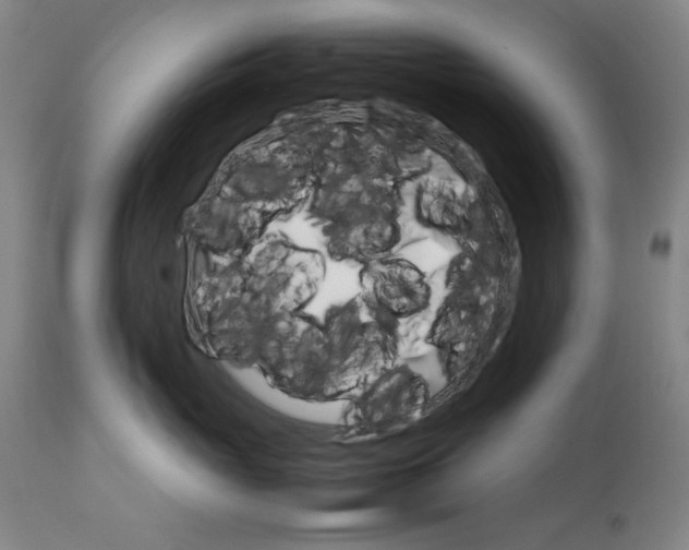 X0000111230765200907161317