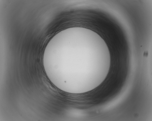 X0000111230766200907161317