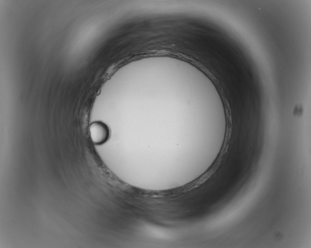 X0000111230767200907161317