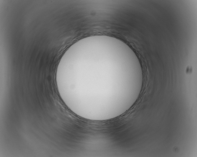X0000111230768200907161317