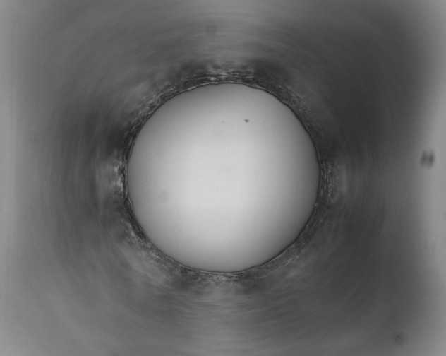 X0000111230770200907161316