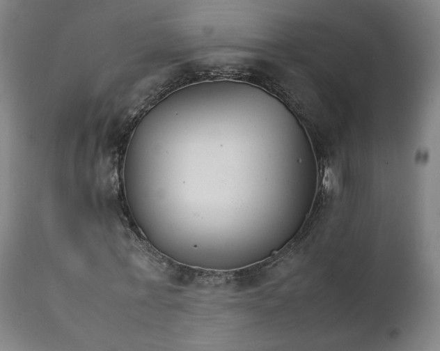 X0000111230771200907161316