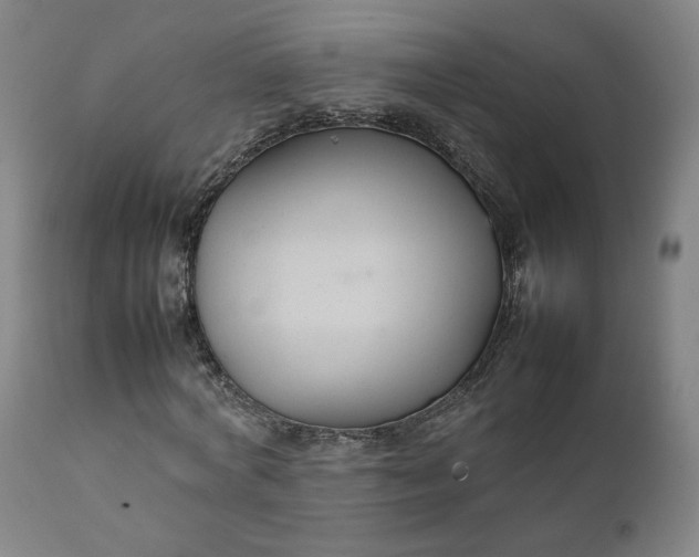 X0000111230772200907161316