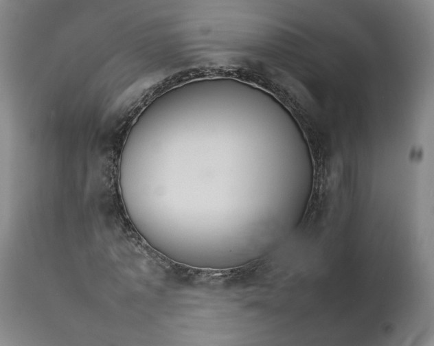 X0000111230773200907161316