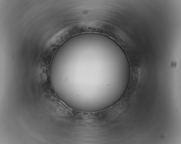X0000111230774200907161316