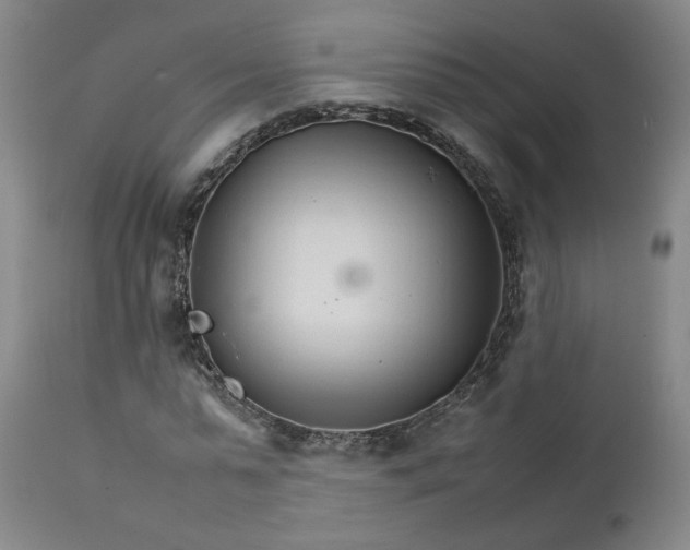 X0000111230775200907161316