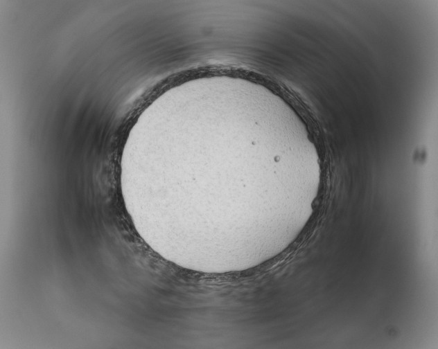 X0000111230776200907161316