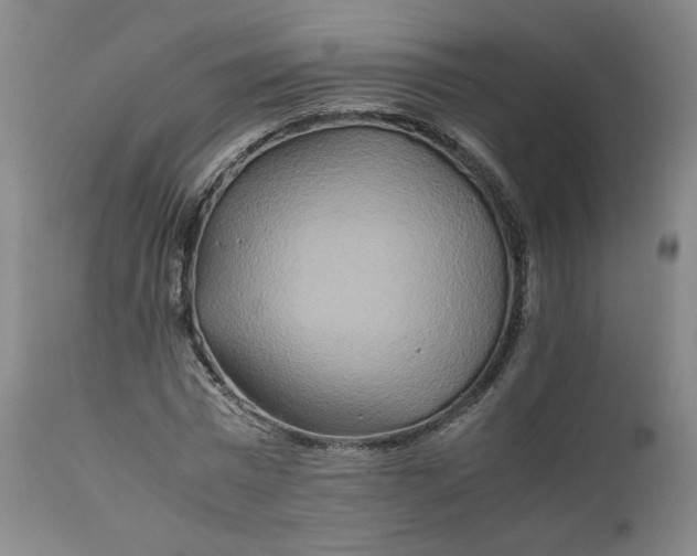 X0000111230777200907161316